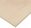 Poplar Plywood 4 x 8 B-4 RC VC